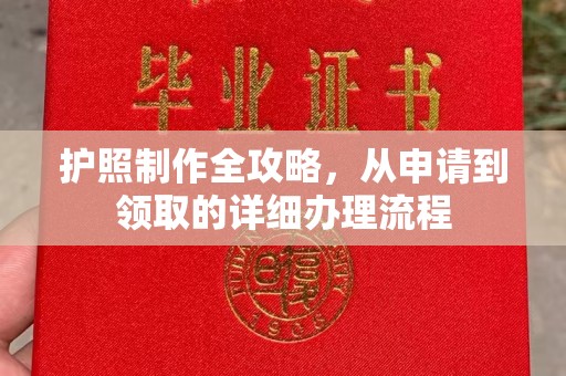 云溪护照制作全攻略，从申请到领取的详细办理流程