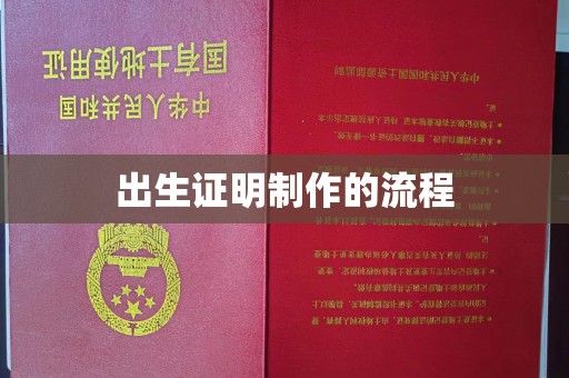 云溪出生证明制作的流程