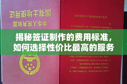 云溪揭秘签证制作的费用标准，如何选择性价比最高的服务？