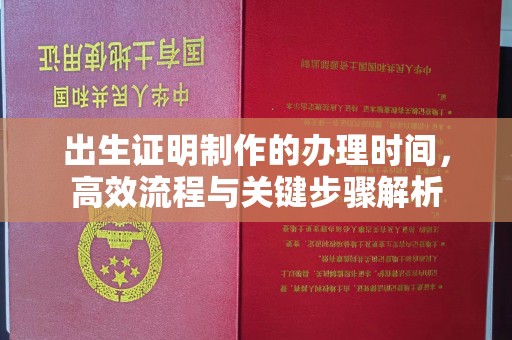 云溪出生证明制作的办理时间，高效流程与关键步骤解析