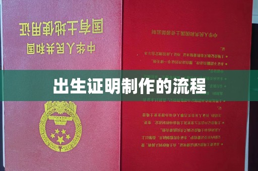 云溪出生证明制作的流程