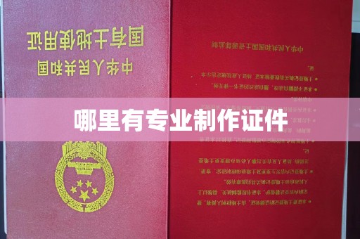 云溪哪里有专业制作证件