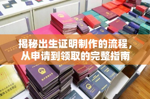 云溪揭秘出生证明制作的流程，从申请到领取的完整指南